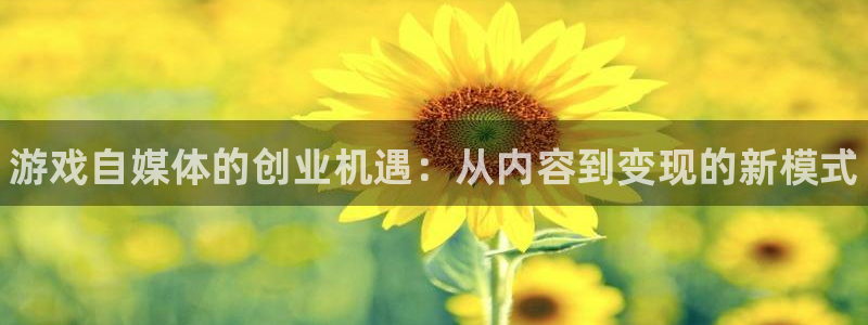 星欧娱乐：游戏自媒体的创业机遇：从内容到变现的新模式