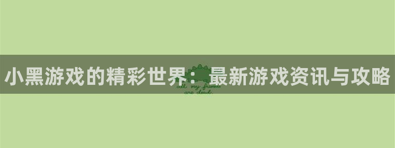 星欧娱乐线路测试：小黑游戏的精彩世界：最新游戏资讯与攻略