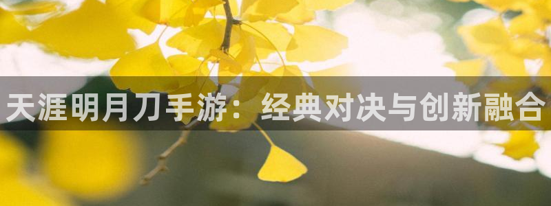 星欧娱乐官方注册登录：天涯明月刀手游：经典对决与创新融合
