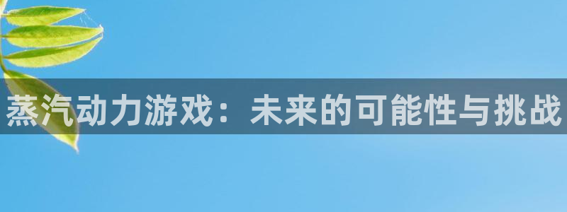 星欧娱乐集团：蒸汽动力游戏：未来的可能性与挑战