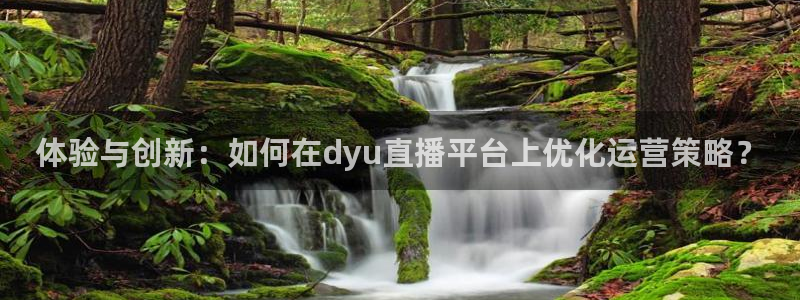919球赛直播：体验与创新：如何在dyu直播平台上优化运营策略？
