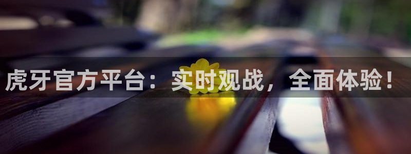 919看球直播nba：虎牙官方平台：实时观战，全面体验！